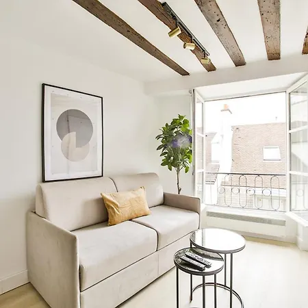 New&renovated Cosy Flat In The Marais !!! 4pers Parigi